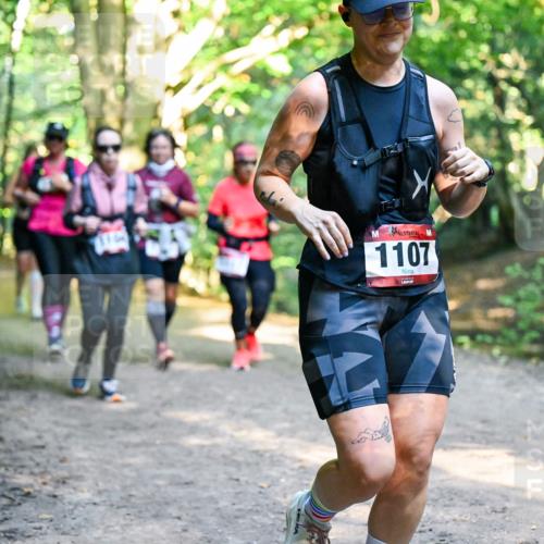 28.09.2025 - 33. Volkslauf durch das schöne Alstertal Dr. Thomas Lammeyer http://msf.ph/oto/8953024 28.09.2025 10:25:16 Laufen 1107 meine-sportfotos.de