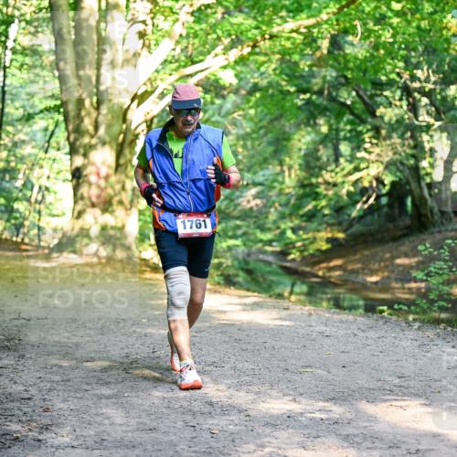 28.09.2025 - 33. Volkslauf durch das schöne Alstertal Dr. Thomas Lammeyer http://msf.ph/oto/8953057 28.09.2025 10:25:39 Laufen 1761 meine-sportfotos.de