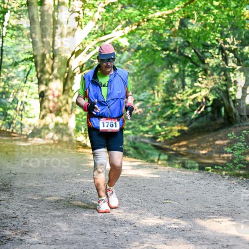 28.09.2025 - 33. Volkslauf durch das schöne Alstertal Dr. Thomas Lammeyer http://msf.ph/oto/8953058 28.09.2025 10:25:39 Laufen 1761 meine-sportfotos.de