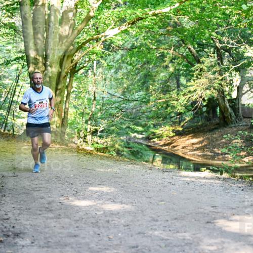 28.09.2025 - 33. Volkslauf durch das schöne Alstertal Dr. Thomas Lammeyer http://msf.ph/oto/8953088 28.09.2025 10:33:34 Laufen 2229 meine-sportfotos.de