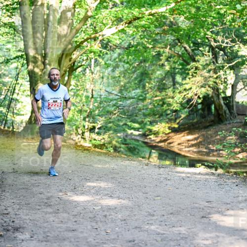 28.09.2025 - 33. Volkslauf durch das schöne Alstertal Dr. Thomas Lammeyer http://msf.ph/oto/8953091 28.09.2025 10:33:35 Laufen 2229 meine-sportfotos.de