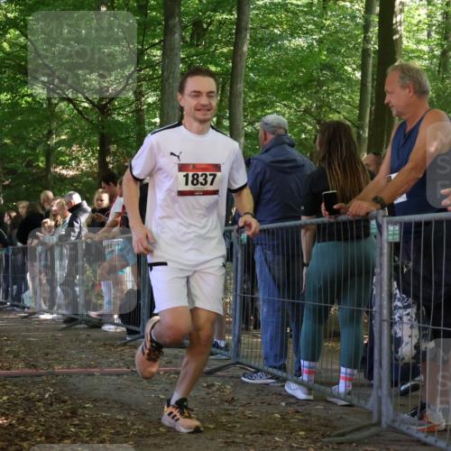 28.09.2025 - 33. Volkslauf durch das schöne Alstertal Strokosch-Dieckow http://msf.ph/oto/8953093 28.09.2025 12:28:39 Ziel 1837, 2602 meine-sportfotos.de