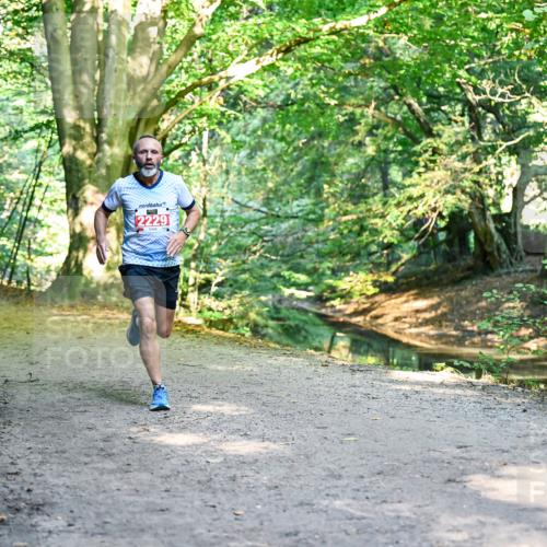 28.09.2025 - 33. Volkslauf durch das schöne Alstertal Dr. Thomas Lammeyer http://msf.ph/oto/8953094 28.09.2025 10:33:35 Laufen 2229 meine-sportfotos.de