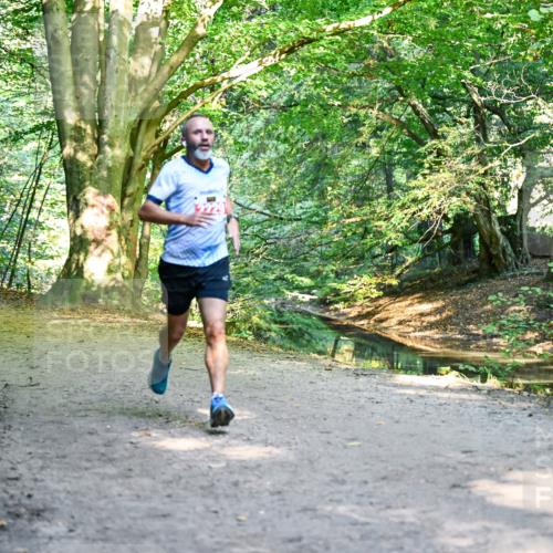 28.09.2025 - 33. Volkslauf durch das schöne Alstertal Dr. Thomas Lammeyer http://msf.ph/oto/8953097 28.09.2025 10:33:35 Laufen  meine-sportfotos.de