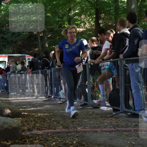 28.09.2025 - 33. Volkslauf durch das schöne Alstertal Strokosch-Dieckow http://msf.ph/oto/8953098 28.09.2025 12:28:41 Ziel 2602 meine-sportfotos.de