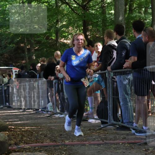 28.09.2025 - 33. Volkslauf durch das schöne Alstertal Strokosch-Dieckow http://msf.ph/oto/8953101 28.09.2025 12:28:42 Ziel 2602 meine-sportfotos.de