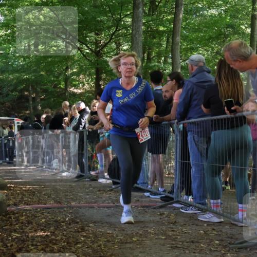 28.09.2025 - 33. Volkslauf durch das schöne Alstertal Strokosch-Dieckow http://msf.ph/oto/8953107 28.09.2025 12:28:43 Ziel 2602 meine-sportfotos.de