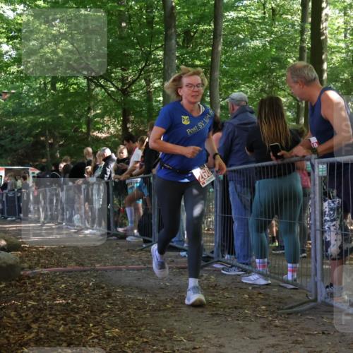 28.09.2025 - 33. Volkslauf durch das schöne Alstertal Strokosch-Dieckow http://msf.ph/oto/8953110 28.09.2025 12:28:43 Ziel 2602 meine-sportfotos.de