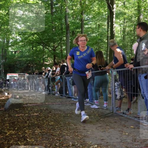 28.09.2025 - 33. Volkslauf durch das schöne Alstertal Strokosch-Dieckow http://msf.ph/oto/8953113 28.09.2025 12:28:43 Ziel 2602 meine-sportfotos.de