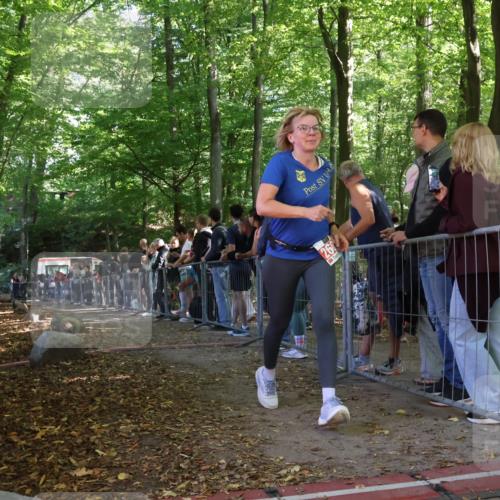 28.09.2025 - 33. Volkslauf durch das schöne Alstertal Strokosch-Dieckow http://msf.ph/oto/8953116 28.09.2025 12:28:44 Ziel  meine-sportfotos.de