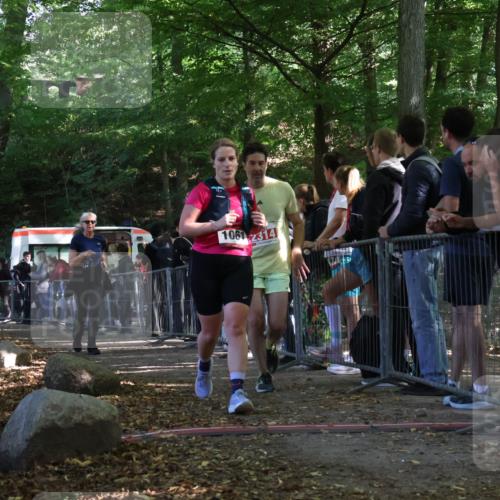 28.09.2025 - 33. Volkslauf durch das schöne Alstertal Strokosch-Dieckow http://msf.ph/oto/8953128 28.09.2025 12:28:54 Ziel 1061, 2314 meine-sportfotos.de