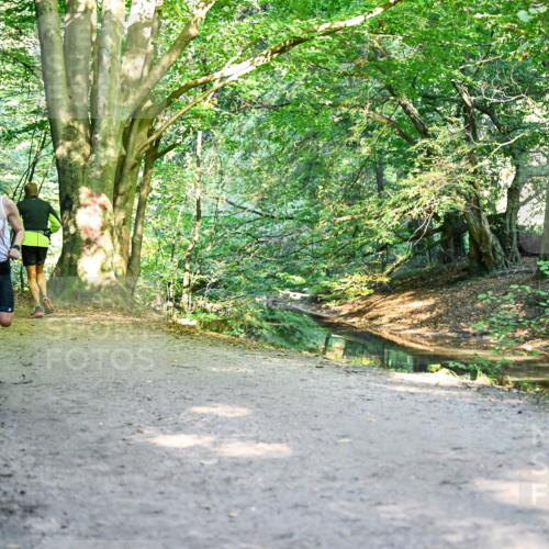 28.09.2025 - 33. Volkslauf durch das schöne Alstertal Dr. Thomas Lammeyer http://msf.ph/oto/8953142 28.09.2025 10:33:58 Laufen  meine-sportfotos.de