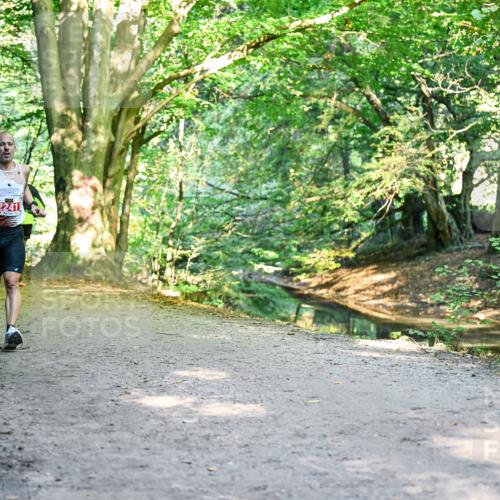 28.09.2025 - 33. Volkslauf durch das schöne Alstertal Dr. Thomas Lammeyer http://msf.ph/oto/8953145 28.09.2025 10:33:58 Laufen 2241 meine-sportfotos.de