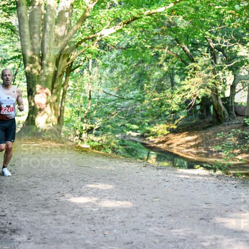 28.09.2025 - 33. Volkslauf durch das schöne Alstertal Dr. Thomas Lammeyer http://msf.ph/oto/8953147 28.09.2025 10:33:58 Laufen 2241 meine-sportfotos.de