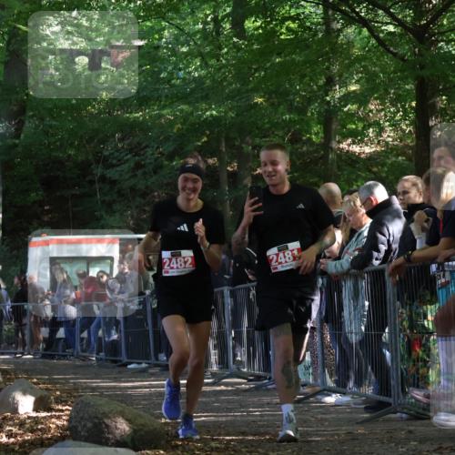 28.09.2025 - 33. Volkslauf durch das schöne Alstertal Strokosch-Dieckow http://msf.ph/oto/8953164 28.09.2025 12:29:04 Ziel 2481, 2482 meine-sportfotos.de