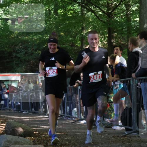 28.09.2025 - 33. Volkslauf durch das schöne Alstertal Strokosch-Dieckow http://msf.ph/oto/8953169 28.09.2025 12:29:05 Ziel 2481, 2482 meine-sportfotos.de
