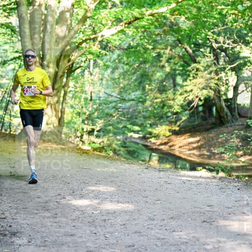 28.09.2025 - 33. Volkslauf durch das schöne Alstertal Dr. Thomas Lammeyer http://msf.ph/oto/8953171 28.09.2025 10:34:01 Laufen  meine-sportfotos.de