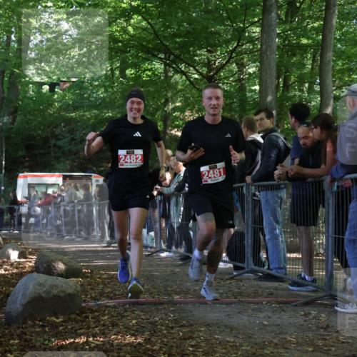 28.09.2025 - 33. Volkslauf durch das schöne Alstertal Strokosch-Dieckow http://msf.ph/oto/8953172 28.09.2025 12:29:05 Ziel 2481, 2482 meine-sportfotos.de