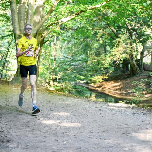 28.09.2025 - 33. Volkslauf durch das schöne Alstertal Dr. Thomas Lammeyer http://msf.ph/oto/8953174 28.09.2025 10:34:01 Laufen 4389 meine-sportfotos.de