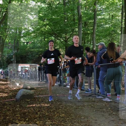 28.09.2025 - 33. Volkslauf durch das schöne Alstertal Strokosch-Dieckow http://msf.ph/oto/8953175 28.09.2025 12:29:06 Ziel 2481, 2482 meine-sportfotos.de