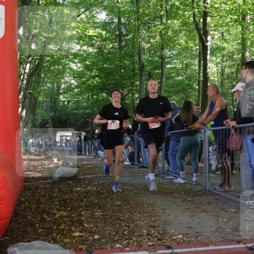 28.09.2025 - 33. Volkslauf durch das schöne Alstertal Strokosch-Dieckow http://msf.ph/oto/8953178 28.09.2025 12:29:06 Ziel 2481, 2482 meine-sportfotos.de