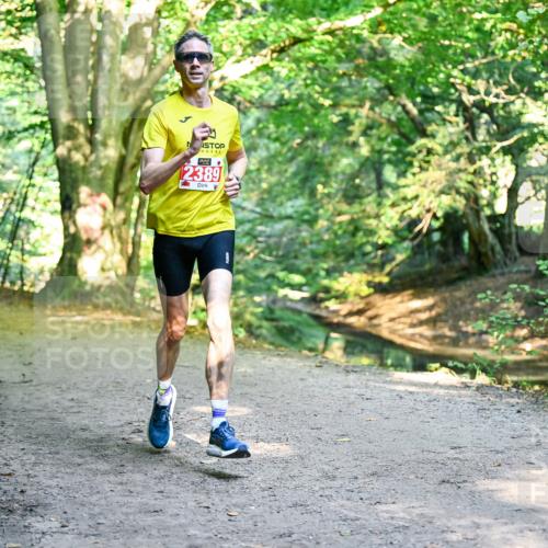 28.09.2025 - 33. Volkslauf durch das schöne Alstertal Dr. Thomas Lammeyer http://msf.ph/oto/8953182 28.09.2025 10:34:02 Laufen 2389 meine-sportfotos.de