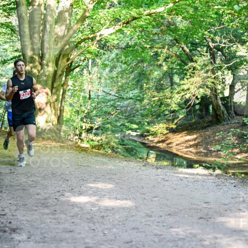 28.09.2025 - 33. Volkslauf durch das schöne Alstertal Dr. Thomas Lammeyer http://msf.ph/oto/8953190 28.09.2025 10:34:06 Laufen 2321 meine-sportfotos.de