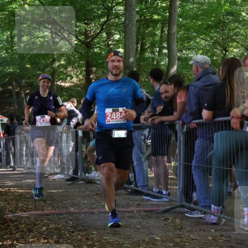 28.09.2025 - 33. Volkslauf durch das schöne Alstertal Strokosch-Dieckow http://msf.ph/oto/8953198 28.09.2025 12:29:31 Ziel 2436, 2484 meine-sportfotos.de