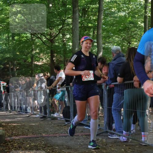28.09.2025 - 33. Volkslauf durch das schöne Alstertal Strokosch-Dieckow http://msf.ph/oto/8953206 28.09.2025 12:29:32 Ziel 2436 meine-sportfotos.de