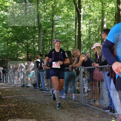 28.09.2025 - 33. Volkslauf durch das schöne Alstertal Strokosch-Dieckow http://msf.ph/oto/8953209 28.09.2025 12:29:33 Ziel  meine-sportfotos.de