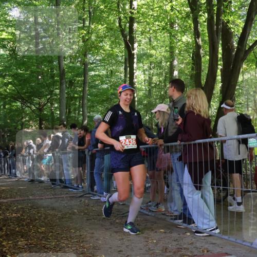 28.09.2025 - 33. Volkslauf durch das schöne Alstertal Strokosch-Dieckow http://msf.ph/oto/8953212 28.09.2025 12:29:33 Ziel  meine-sportfotos.de
