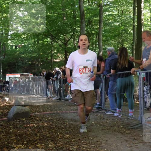 28.09.2025 - 33. Volkslauf durch das schöne Alstertal Strokosch-Dieckow http://msf.ph/oto/8953226 28.09.2025 12:29:51 Ziel 2486 meine-sportfotos.de
