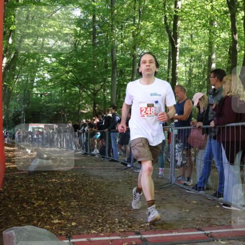28.09.2025 - 33. Volkslauf durch das schöne Alstertal Strokosch-Dieckow http://msf.ph/oto/8953229 28.09.2025 12:29:51 Ziel 2486 meine-sportfotos.de