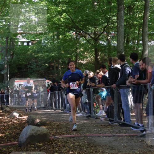 28.09.2025 - 33. Volkslauf durch das schöne Alstertal Strokosch-Dieckow http://msf.ph/oto/8953232 28.09.2025 12:30:03 Ziel 2272, 2317, 2467 meine-sportfotos.de