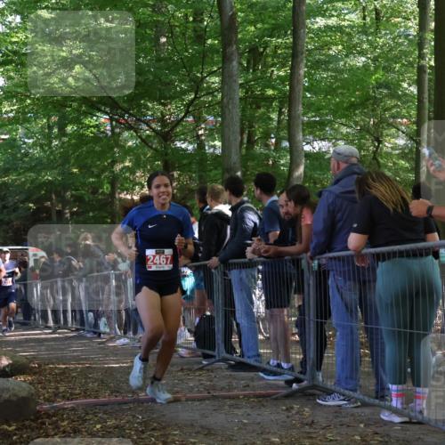 28.09.2025 - 33. Volkslauf durch das schöne Alstertal Strokosch-Dieckow http://msf.ph/oto/8953235 28.09.2025 12:30:03 Ziel 2272, 2317, 2467 meine-sportfotos.de