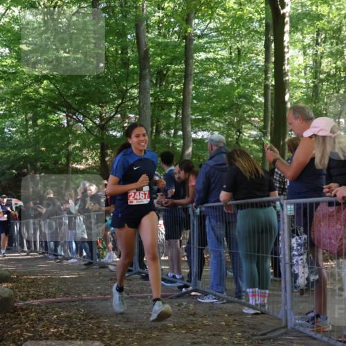 28.09.2025 - 33. Volkslauf durch das schöne Alstertal Strokosch-Dieckow http://msf.ph/oto/8953238 28.09.2025 12:30:04 Ziel 2272, 2317, 2467 meine-sportfotos.de