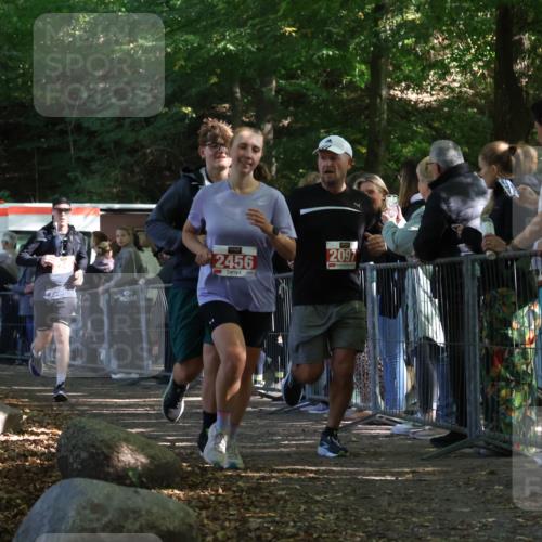 28.09.2025 - 33. Volkslauf durch das schöne Alstertal Strokosch-Dieckow http://msf.ph/oto/8953272 28.09.2025 12:30:14 Ziel 2096, 2097, 2245, 2456 meine-sportfotos.de
