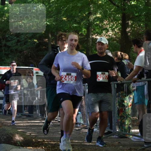 28.09.2025 - 33. Volkslauf durch das schöne Alstertal Strokosch-Dieckow http://msf.ph/oto/8953274 28.09.2025 12:30:14 Ziel 2096, 2097, 2245, 2456 meine-sportfotos.de