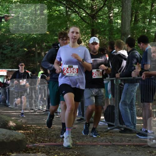 28.09.2025 - 33. Volkslauf durch das schöne Alstertal Strokosch-Dieckow http://msf.ph/oto/8953277 28.09.2025 12:30:15 Ziel 2096, 2097, 2245, 2456 meine-sportfotos.de
