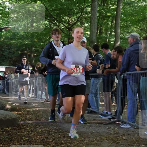 28.09.2025 - 33. Volkslauf durch das schöne Alstertal Strokosch-Dieckow http://msf.ph/oto/8953280 28.09.2025 12:30:16 Ziel 2096, 2097, 2245, 2456 meine-sportfotos.de
