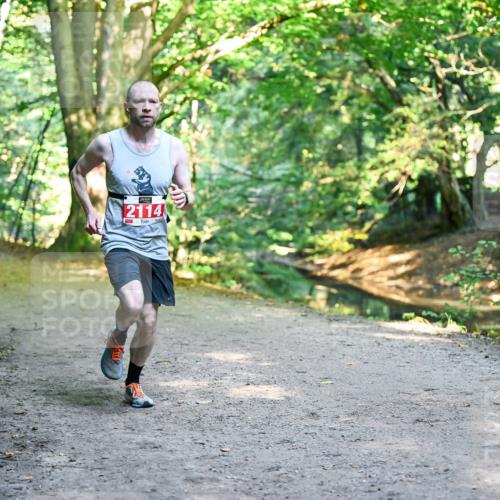 28.09.2025 - 33. Volkslauf durch das schöne Alstertal Dr. Thomas Lammeyer http://msf.ph/oto/8953281 28.09.2025 10:34:41 Laufen 2114 meine-sportfotos.de