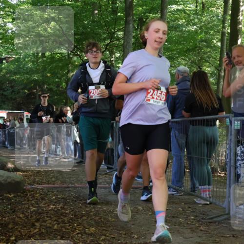 28.09.2025 - 33. Volkslauf durch das schöne Alstertal Strokosch-Dieckow http://msf.ph/oto/8953283 28.09.2025 12:30:16 Ziel 2096, 2097, 2245, 2456 meine-sportfotos.de