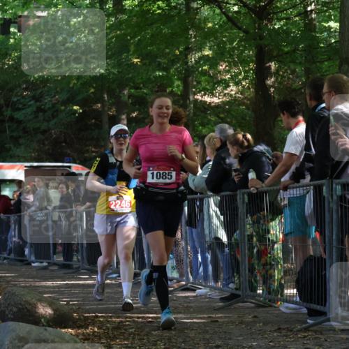 28.09.2025 - 33. Volkslauf durch das schöne Alstertal Strokosch-Dieckow http://msf.ph/oto/8953300 28.09.2025 12:30:29 Ziel 1085, 2246 meine-sportfotos.de