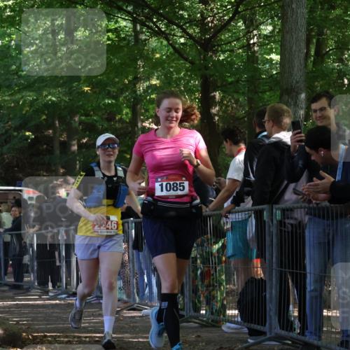 28.09.2025 - 33. Volkslauf durch das schöne Alstertal Strokosch-Dieckow http://msf.ph/oto/8953303 28.09.2025 12:30:29 Ziel 1085, 2246 meine-sportfotos.de