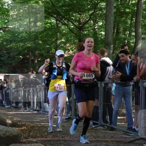 28.09.2025 - 33. Volkslauf durch das schöne Alstertal Strokosch-Dieckow http://msf.ph/oto/8953306 28.09.2025 12:30:30 Ziel 1085, 2246 meine-sportfotos.de