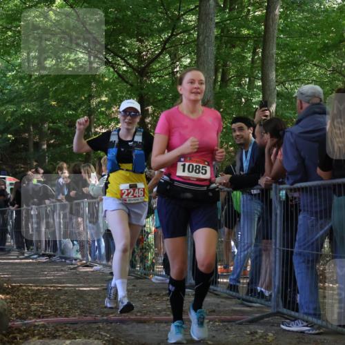 28.09.2025 - 33. Volkslauf durch das schöne Alstertal Strokosch-Dieckow http://msf.ph/oto/8953309 28.09.2025 12:30:30 Ziel 1085, 2246 meine-sportfotos.de