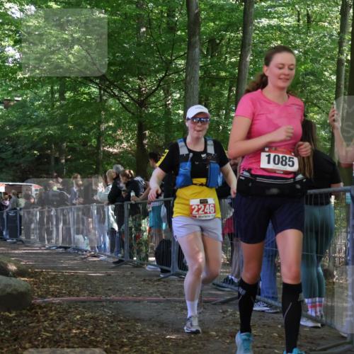 28.09.2025 - 33. Volkslauf durch das schöne Alstertal Strokosch-Dieckow http://msf.ph/oto/8953312 28.09.2025 12:30:31 Ziel 2246 meine-sportfotos.de