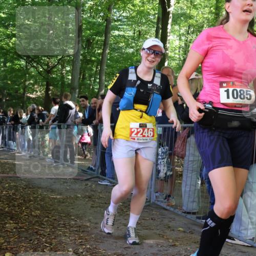 28.09.2025 - 33. Volkslauf durch das schöne Alstertal Strokosch-Dieckow http://msf.ph/oto/8953317 28.09.2025 12:30:32 Ziel  meine-sportfotos.de