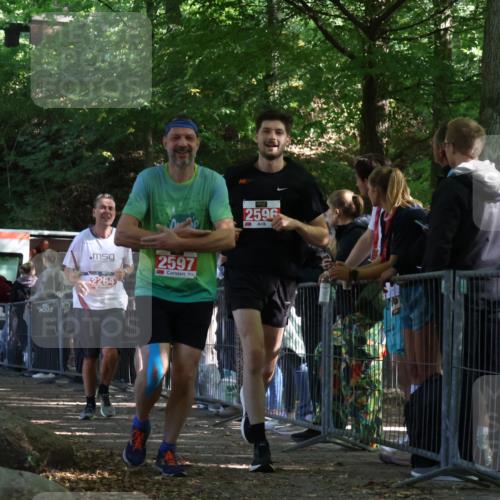 28.09.2025 - 33. Volkslauf durch das schöne Alstertal Strokosch-Dieckow http://msf.ph/oto/8953323 28.09.2025 12:30:43 Ziel 2264, 2596, 2597 meine-sportfotos.de