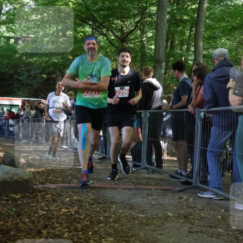 28.09.2025 - 33. Volkslauf durch das schöne Alstertal Strokosch-Dieckow http://msf.ph/oto/8953328 28.09.2025 12:30:44 Ziel 2264, 2596, 2597 meine-sportfotos.de